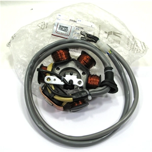 Kokusan stator for 50 2T PIAGGIO SFERA ZIP GILERA engines ro 820293 830294